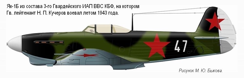 Як-1Б лейтенанта Н. П. Кучерова. 3-й ГИАП КБФ, лето 1943 г.