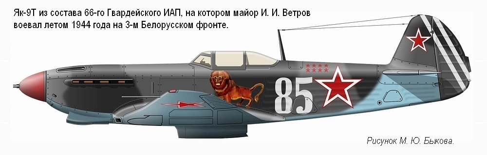 Як-9Т капитана И. И. Ветрова. 66-й ГИАП, лето 1944 г.