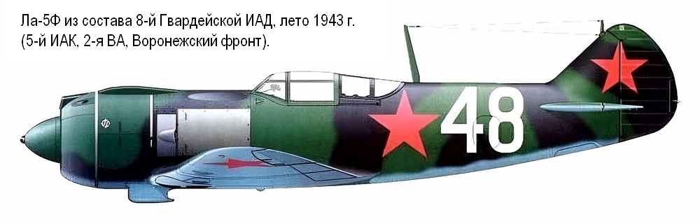 -5   8-   (2- ,  ),  1943 .