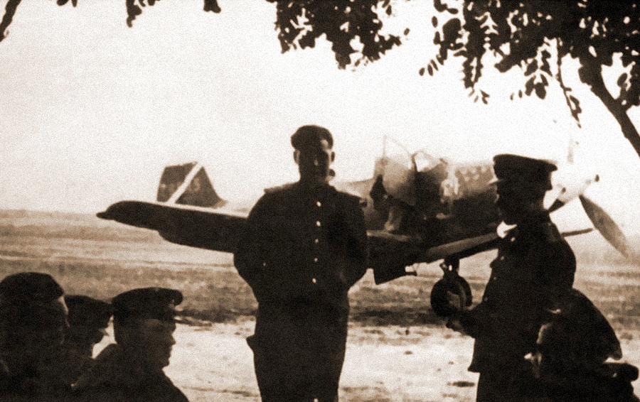 11- .             , 1944 . (K. Geust & G. Petrov, Red Stars In The Sky) -    .  XI | Warspot.ru