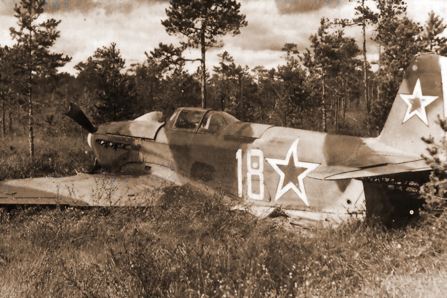  -9   29- .,        ,  1944 . (K. Geust & G. Petrov, Red Stars In The Sky) - 29-      | Warspot.ru